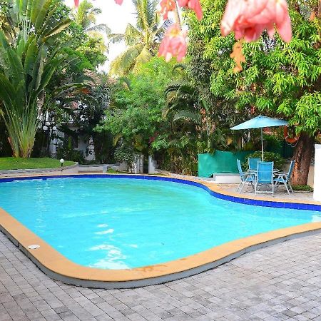 Villa Samaara3 Condolim Goa 500Mts From Beach كاندولِم المظهر الخارجي الصورة